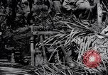 Standbild 187th Glider Infanterie Batangas Philippinen, 1945, aus Sekunde 59 historischem Filmmaterial Videoclip 65675038675