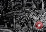 Standbild 187th Glider Infanterie Batangas Philippinen, 1945, aus Sekunde 60 historischem Filmmaterial Videoclip 65675038675