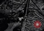 Standbild 187th Glider Infanterie Batangas Philippinen, 1945, aus Sekunde 47 historischem Filmmaterial Videoclip 65675038676