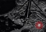 Standbild 187th Glider Infanterie Batangas Philippinen, 1945, aus Sekunde 54 historischem Filmmaterial Videoclip 65675038676
