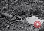 Image 187e planeur Infantry Batangas Philippines, 1945, de la seconde 45 séquences d'archives historiques vidéo 65675038677
