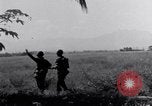 Image 187e planeur Infantry Leyte Philippines, 1945, de la seconde 27 séquences d'archives historiques vidéo 65675038678