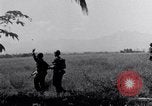 Image 187e planeur Infantry Leyte Philippines, 1945, de la seconde 28 séquences d'archives historiques vidéo 65675038678