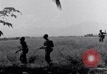 Image 187e planeur Infantry Leyte Philippines, 1945, de la seconde 29 séquences d'archives historiques vidéo 65675038678