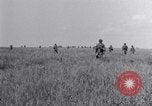 Image 187e planeur Infantry Leyte Philippines, 1945, de la seconde 53 séquences d'archives historiques vidéo 65675038678