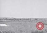 Image des soldats américains Aparri Philippines, 1945, de la seconde 55 séquences d'archives historiques vidéo 65675038683