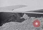 Image 11e Division aéroportée Aparri Philippines, 1945, de la seconde 11 séquences d'archives historiques vidéo 65675038686