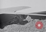 Image 11e Division aéroportée Aparri Philippines, 1945, de la seconde 14 séquences d'archives historiques vidéo 65675038686