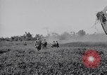 Image 11e Division aéroportée Aparri Philippines, 1945, de la seconde 19 séquences d'archives historiques vidéo 65675038686