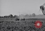 Image 11e Division aéroportée Aparri Philippines, 1945, de la seconde 20 séquences d'archives historiques vidéo 65675038686