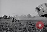 Image 11e Division aéroportée Aparri Philippines, 1945, de la seconde 21 séquences d'archives historiques vidéo 65675038686