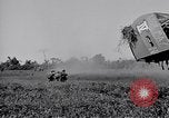 Image 11e Division aéroportée Aparri Philippines, 1945, de la seconde 23 séquences d'archives historiques vidéo 65675038686