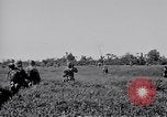 Image 11e Division aéroportée Aparri Philippines, 1945, de la seconde 29 séquences d'archives historiques vidéo 65675038686