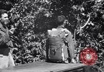 Standbild 11th Airborne Division springen Schule Lipa Philippinen, 1945, aus Sekunde 18 historischem Filmmaterial Videoclip 65675038688