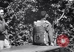 Standbild 11th Airborne Division springen Schule Lipa Philippinen, 1945, aus Sekunde 19 historischem Filmmaterial Videoclip 65675038688