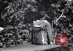 Standbild 11th Airborne Division springen Schule Lipa Philippinen, 1945, aus Sekunde 23 historischem Filmmaterial Videoclip 65675038688