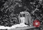 Standbild 11th Airborne Division springen Schule Lipa Philippinen, 1945, aus Sekunde 26 historischem Filmmaterial Videoclip 65675038688