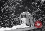 Standbild 11th Airborne Division springen Schule Lipa Philippinen, 1945, aus Sekunde 27 historischem Filmmaterial Videoclip 65675038688