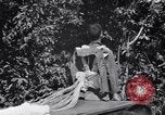 Standbild 11th Airborne Division springen Schule Lipa Philippinen, 1945, aus Sekunde 31 historischem Filmmaterial Videoclip 65675038688