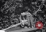 Standbild 11th Airborne Division springen Schule Lipa Philippinen, 1945, aus Sekunde 32 historischem Filmmaterial Videoclip 65675038688