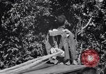 Standbild 11th Airborne Division springen Schule Lipa Philippinen, 1945, aus Sekunde 33 historischem Filmmaterial Videoclip 65675038688