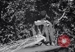 Standbild 11th Airborne Division springen Schule Lipa Philippinen, 1945, aus Sekunde 34 historischem Filmmaterial Videoclip 65675038688