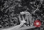 Standbild 11th Airborne Division springen Schule Lipa Philippinen, 1945, aus Sekunde 35 historischem Filmmaterial Videoclip 65675038688