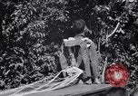 Standbild 11th Airborne Division springen Schule Lipa Philippinen, 1945, aus Sekunde 36 historischem Filmmaterial Videoclip 65675038688