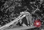 Standbild 11th Airborne Division springen Schule Lipa Philippinen, 1945, aus Sekunde 39 historischem Filmmaterial Videoclip 65675038688