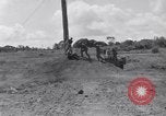 Image 11e Division aéroportée Lipa Philippines, 1945, de la seconde 53 séquences d'archives historiques vidéo 65675038689
