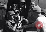 Standbild 511th Parachute Regiment Luzon Philippinen, 1945, aus Sekunde 43 historischem Filmmaterial Videoclip 65675038697