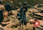 Image of Japanese women Okinawa Ryukyu Islands, 1945, second 31 stock footage video 65675038714