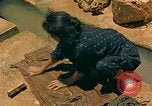 Image of Japanese women Okinawa Ryukyu Islands, 1945, second 56 stock footage video 65675038714