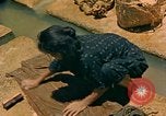 Image of Japanese women Okinawa Ryukyu Islands, 1945, second 58 stock footage video 65675038714