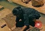 Image of Japanese women Okinawa Ryukyu Islands, 1945, second 59 stock footage video 65675038714