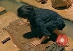 Image of Japanese women Okinawa Ryukyu Islands, 1945, second 61 stock footage video 65675038714