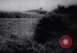 Image of Viet Cong soldiers Vietnam, 1967, second 4 stock footage video 65675038716