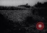 Image of Viet Cong soldiers Vietnam, 1967, second 7 stock footage video 65675038716