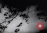 Image of Viet Cong soldiers Vietnam, 1967, second 13 stock footage video 65675038716