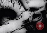 Image of Viet Cong soldiers Vietnam, 1967, second 29 stock footage video 65675038716