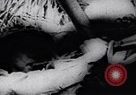 Image of Viet Cong soldiers Vietnam, 1967, second 30 stock footage video 65675038716
