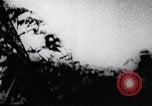 Image of Viet Cong soldiers Vietnam, 1967, second 55 stock footage video 65675038716