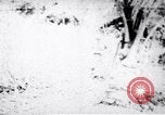 Image of Viet Cong soldiers Vietnam, 1967, second 1 stock footage video 65675038717
