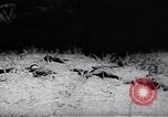 Image of Viet Cong soldiers Vietnam, 1967, second 10 stock footage video 65675038717