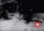 Image of Viet Cong soldiers Vietnam, 1967, second 13 stock footage video 65675038717