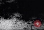 Image of Viet Cong soldiers Vietnam, 1967, second 14 stock footage video 65675038717