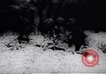 Image of Viet Cong soldiers Vietnam, 1967, second 17 stock footage video 65675038717