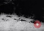 Image of Viet Cong soldiers Vietnam, 1967, second 18 stock footage video 65675038717