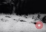 Image of Viet Cong soldiers Vietnam, 1967, second 19 stock footage video 65675038717