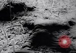 Image of Viet Cong soldiers Vietnam, 1967, second 22 stock footage video 65675038717